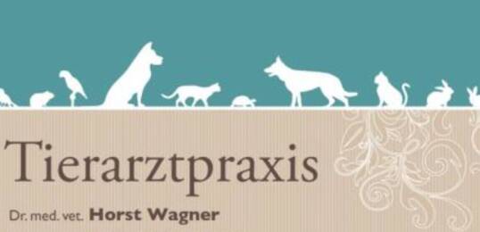 TA Dr. Horst Wagner